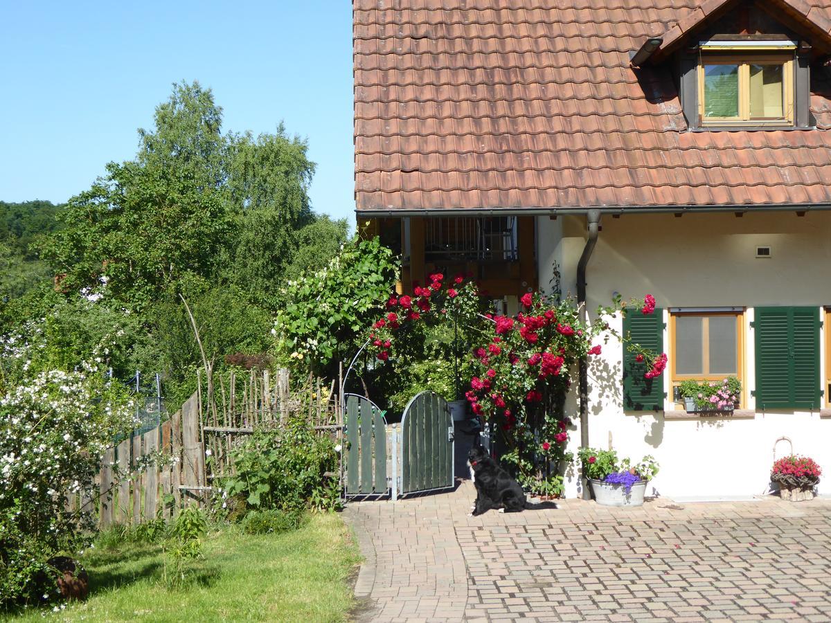 Ferienwohnung Waldblick ツヴァイブリュッケン エクステリア 写真